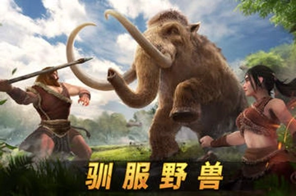 原野传说史前万年国际服无广告版图3