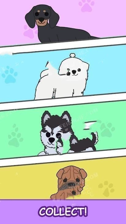 合并汪星人官方最新版图1