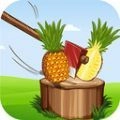劈砍水果大师游戏正版
