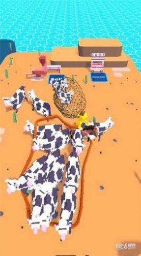 动物捕获手机正版图1