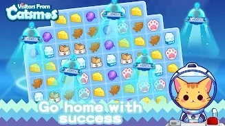 catsmos最新免费版图2