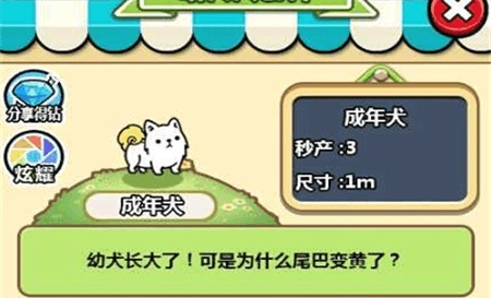 萌犬便便便3