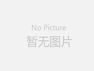 在逃公主直装版图2