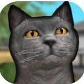 猫舍模拟器游戏最新版