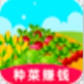 幸运农场红包版