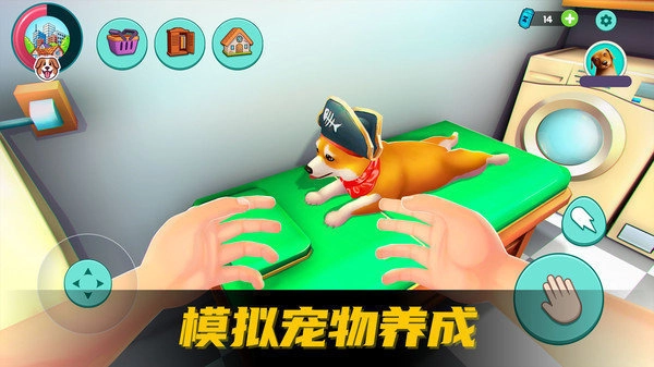 爱心宠物王国-图2