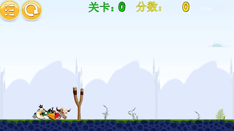 我的鸟官方正版图1