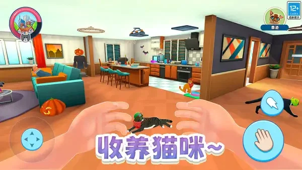 瞌睡猫玩乐时间(1)