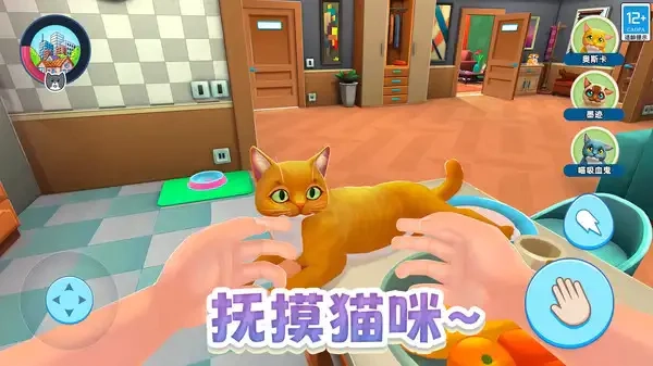 瞌睡猫玩乐时间(2)
