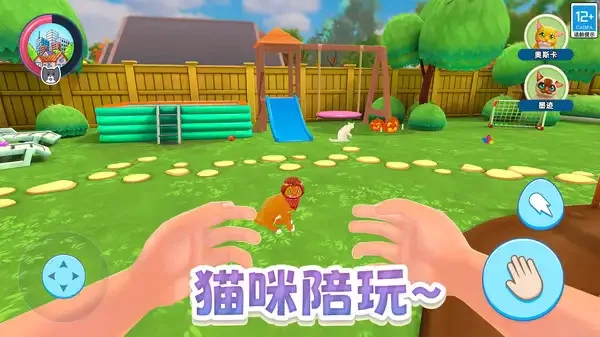 瞌睡猫玩乐时间(3)