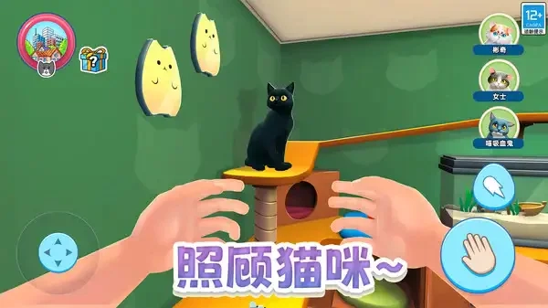 瞌睡猫玩乐时间(4)