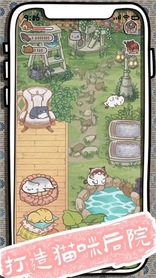 开心猫舍图4