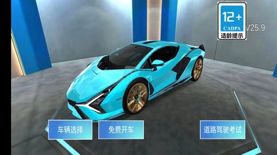 模拟驾驶高手2026版图1