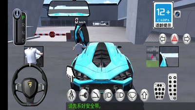 模拟驾驶高手2026版图3