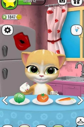 会说话的艾玛猫(2)