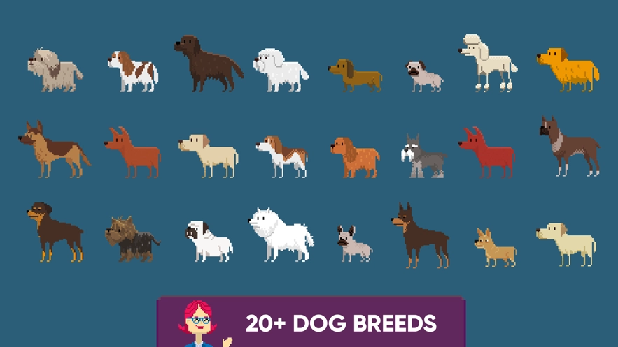 狗狗收容所救援官方版(2)