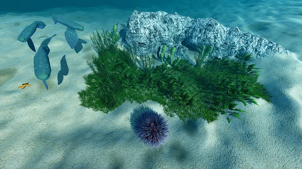 海洋生态模拟器游戏纯净最新版(1)