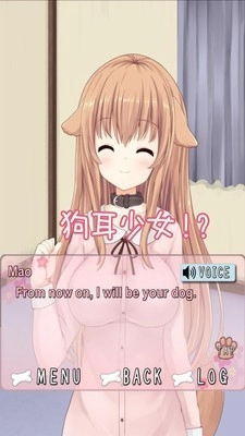 犬耳少女1