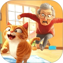 猫咪养成计划