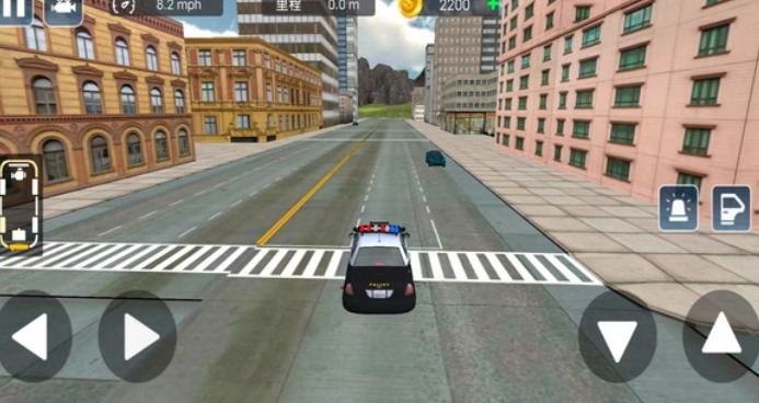 警察驾驶追击(4)