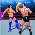 环斗摔跤3D(Ring combat: Wrestling Game 3D)手游免费版