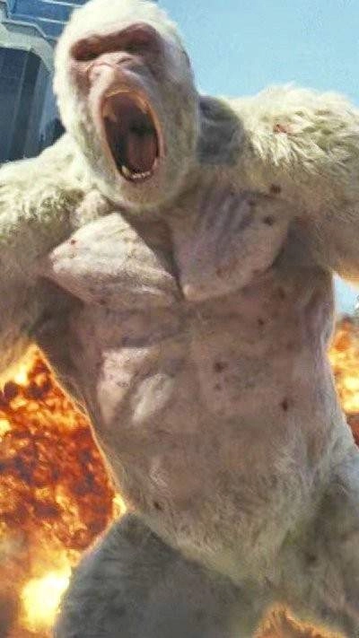 哥斯拉金刚王国(1)