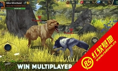 狼传说家园与爱心(3)