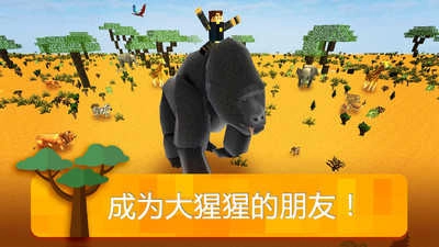 我的非洲世界(3)