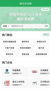 猪好多官方版图4