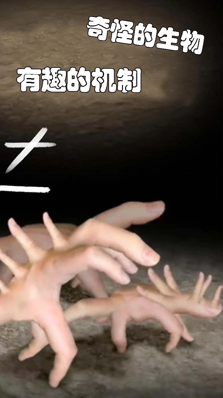 小小手指进化之路手游直装版