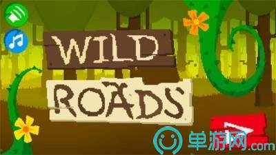 狂野的道路游戏纯净最新版