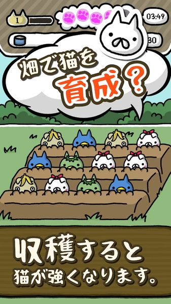 喵喵圆滚滚直装版