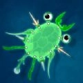 World of Microbes游戏最新版