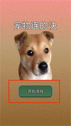 宠物连的快(3)