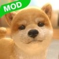 和我的狗在一起(withMyDOG)安卓免费版