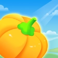 南瓜农场直装游戏版