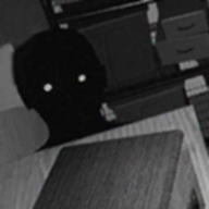 伪人观察模拟器(Alternate Watch Creepy Evil)原版