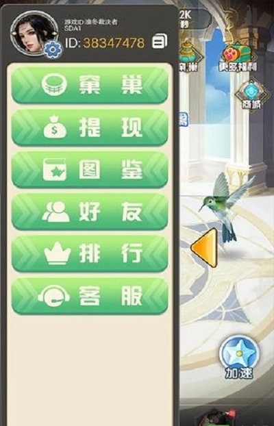 白羽千翎(2)