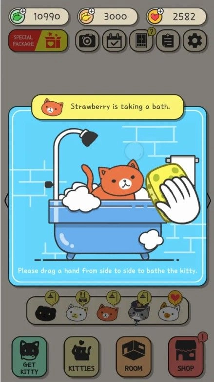 小猫咪快过来手机正版