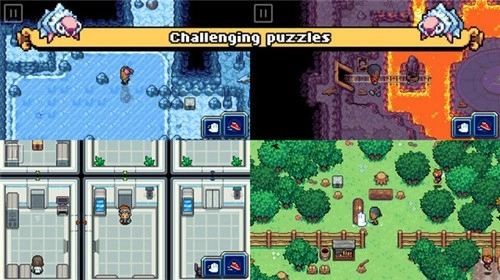 驯服宠物游戏官方版(2)