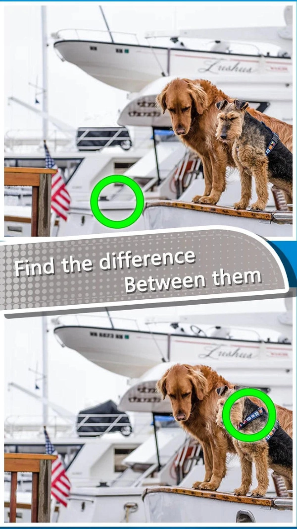 大脑差异拼图最新免费版