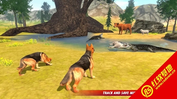 牧羊犬生存模拟(2)