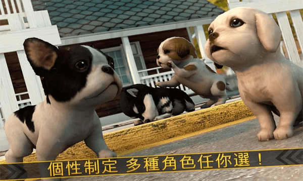 超级小汪大闯关图1