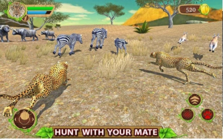 野生猎豹模拟3D(Wild Cheetah Sim)手游版(3)