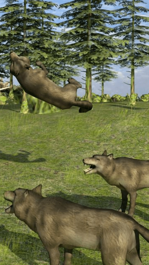 野生动物生活模拟(4)