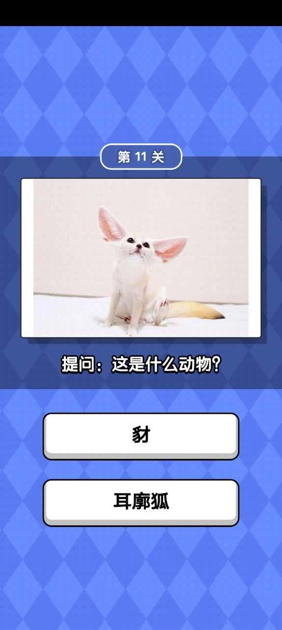 动物滑滑乐手机正版