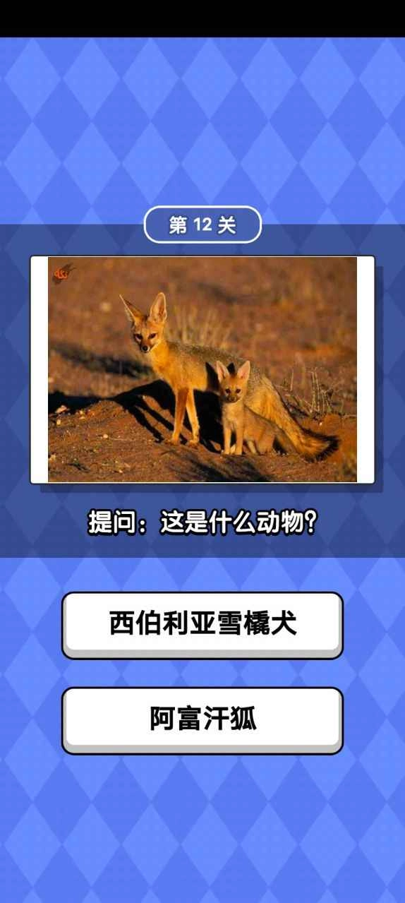 动物滑滑乐手机正版
