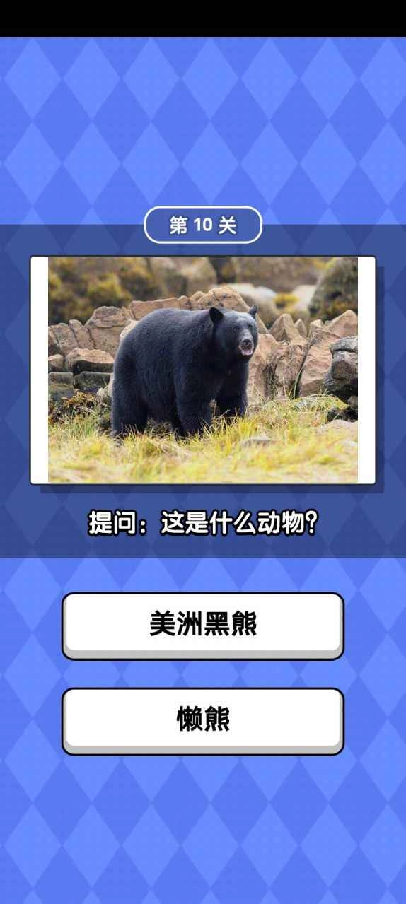 动物滑滑乐手机正版