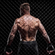 真实摔跤(Real Wrestling)