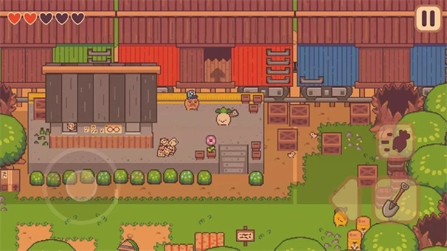 逃税的萝卜男孩(3)